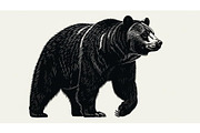 Nature Wildlife Bear Silhouette Bund, an Illustration by Designs_River (Thumbnail 51 of 51)