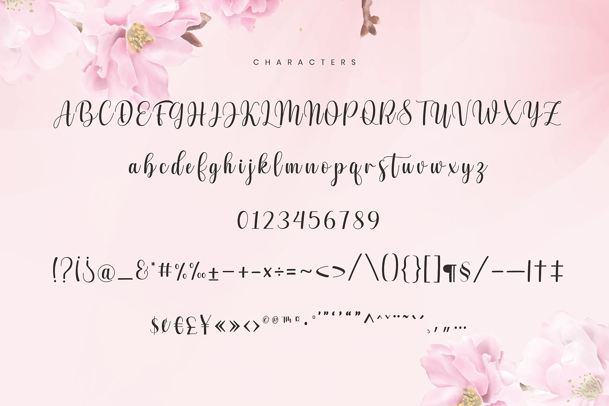 Julio Santa - Romantic Script Font, a Script Font by Namara Creative Studio (Photo 8 of 14)