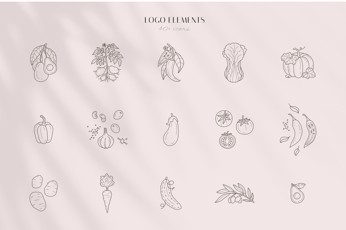 Veggies logo elements and templates, a Graphic by Vasylyka (Photo 5 of 11)