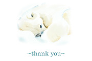 Watercolor Oceans, an Animal Illustration by Budogoshch (Thumbnail 11 of 11)