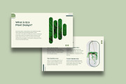 Plant Presentation Template, a Presentation Template by BumbleGraph Studio (Thumbnail 6 of 6)