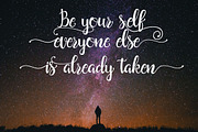 Saldina Script, a Script Font by vanroem (Thumbnail 4 of 13)
