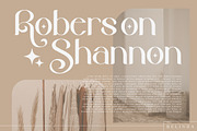 Belinda Modern Serif Font, a Serif Font by Storytype Studio (Thumbnail 9 of 15)