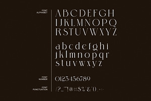 Bimora Stylish Serif Font