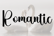Holiday Amsterdam, a Handwritten Font by FreshTypeINK (Thumbnail 2 of 8)