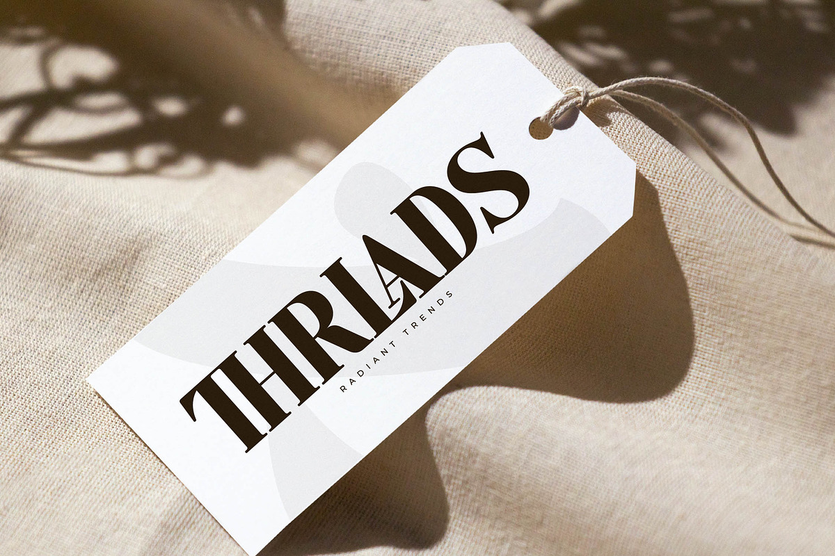 Monstac Realmid Modern Alternate, a Serif Font by Letterena Studios (Photo 10 of 15)
