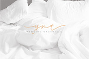 Brian Strait - Signature Font, a Script Font by Masanis (Thumbnail 7 of 11)