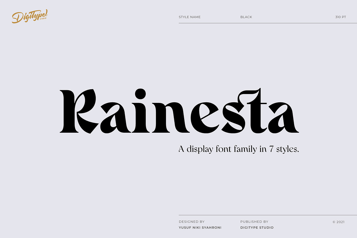 Rainesta Font, a Serif Font by Digitype Studio (Photo 1 of 10)