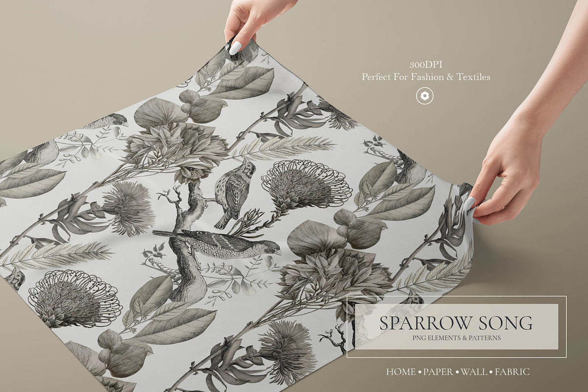Sparrow Song PNG Element Bundle, a Pattern Graphic by Artifactory Studios (Photo 7 of 9)