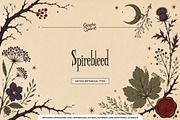Spirebleed Gothic Botanical Font, a Serif Font by Graphic Spirit (Thumbnail 1 of 8)