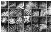 28 Realistic FUR Clip Studio Brushes, a Brush Add-On by Eldar Zakirov's (Thumbnail 7 of 8)