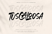 Evocative - Brush Font, a Script Font by Alpaprana (Thumbnail 3 of 13)