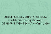 Mint Tea - Handwritten Font, a Font by NViolet (Thumbnail 2 of 3)