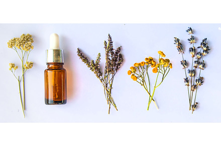 Medicinal herbal extract in a bottle, a Nature Photo by yanadjana