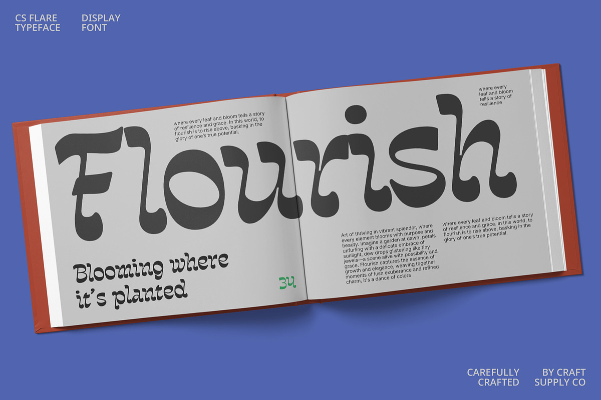 CS Flare – Reverse Contrast Font, a Serif Font by Craft Supply Co. (Photo 4 of 8)