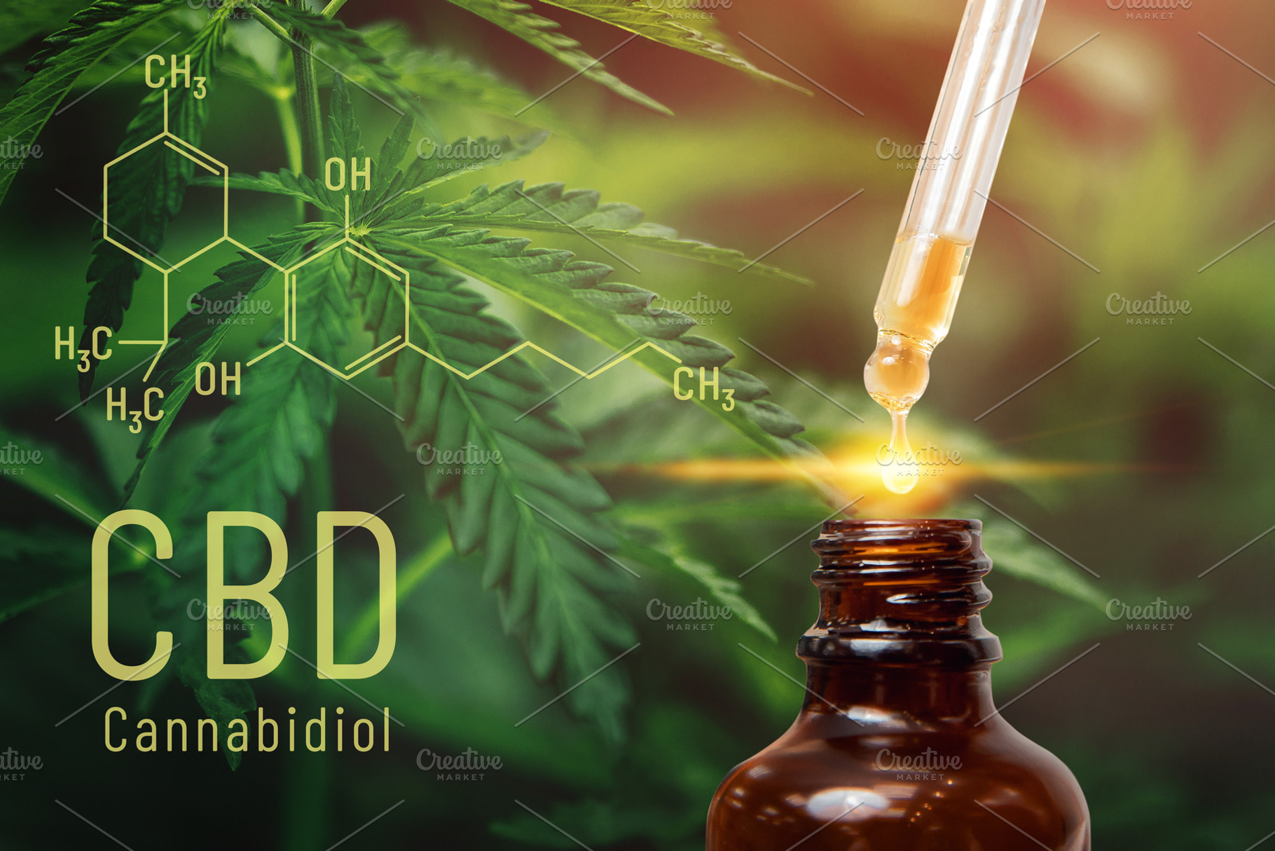 Cannabis cbd oil extracts in jars he containing cbd, oil, and cannabis, a Nature Photo by Parilov