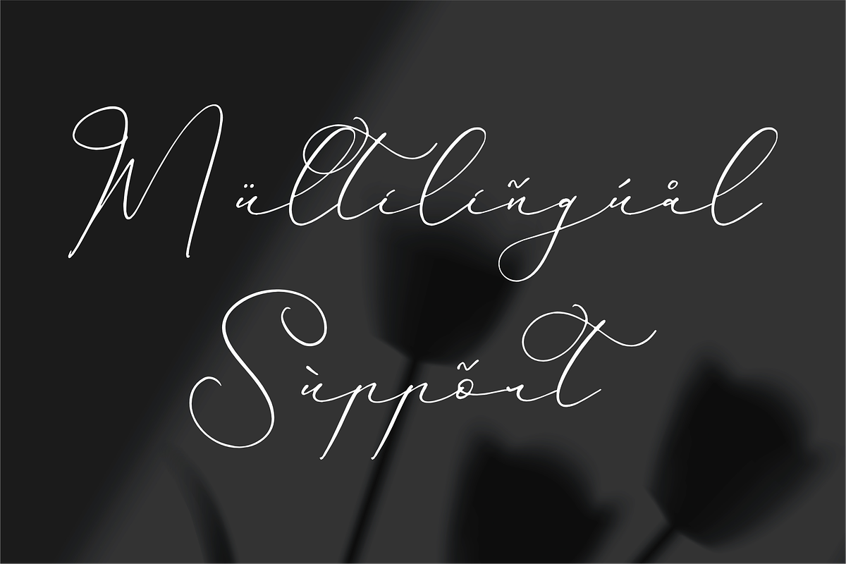 Hardyela Sandert Ballpoint Signature, a Script Font by Storytype Studio (Photo 2 of 15)