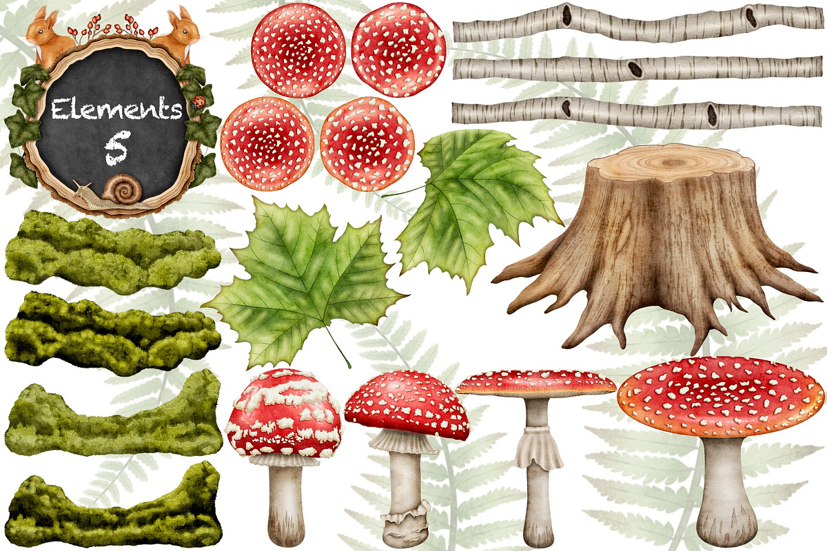 Forest Wonders Watercolor clipart, an Illustration by Happy Sloth Graphics (Photo 7 of 16)
