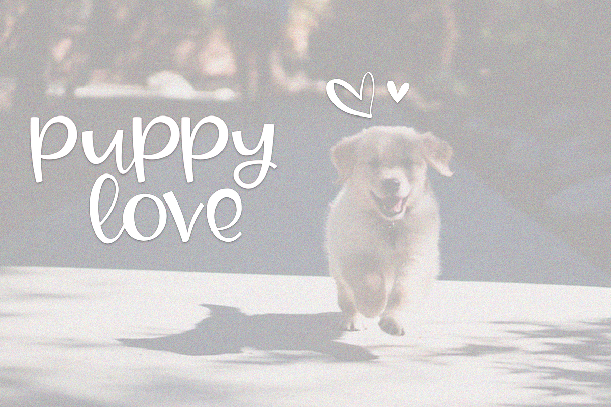 Joy & Hugs - Handwritten Script Font preview 6