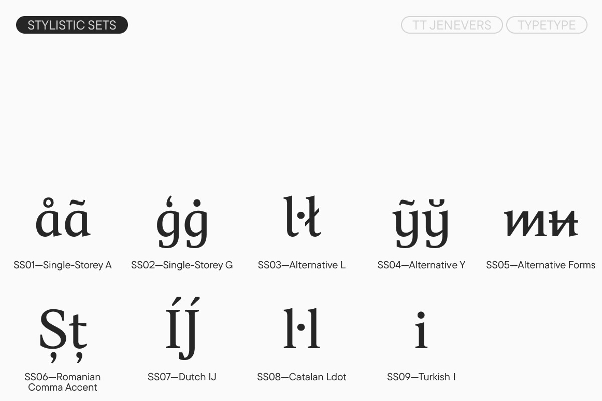 TT Jenevers, a Serif Font by TypeType (Photo 14 of 15)