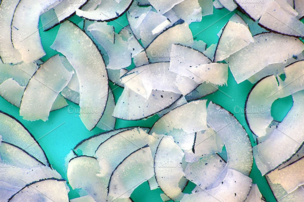 Coconut Slices preview 4