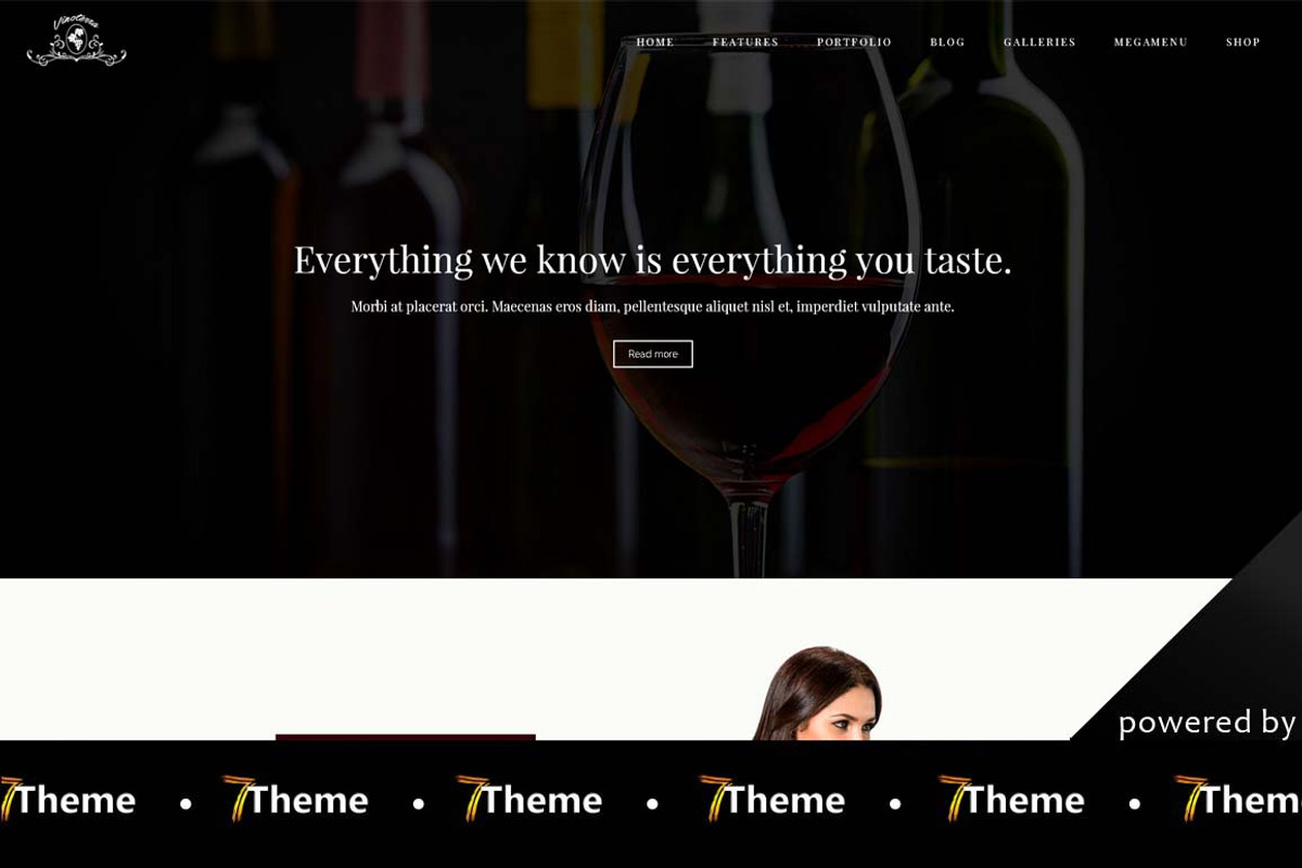 Vinoterra, a WordPress Template by 7Theme