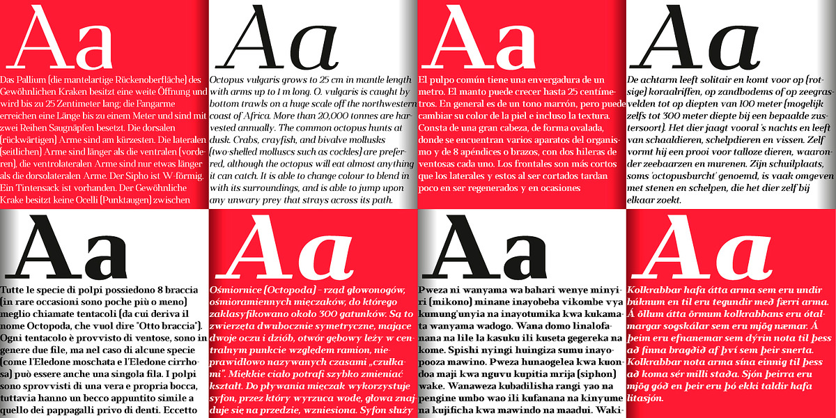 Kalpa, a Serif Font by Octotypo (Photo 6 of 8)