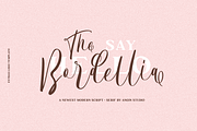 The Bordellia Font Duo, a Script Font by Angin Studio (Thumbnail 1 of 15)
