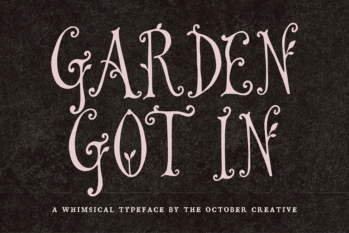 Garden Got In Tendril Display Font, a Handwritten Font by The October Creative (Photo 1 of 8)