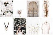 Aesthetic Pastel Styled Stock Photos, a Background Photo by Floral Deco (Thumbnail 2 of 39)