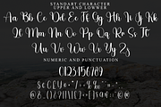 Daily Wedding, a Handwritten Font by InermediaSTUDIO (Thumbnail 7 of 8)