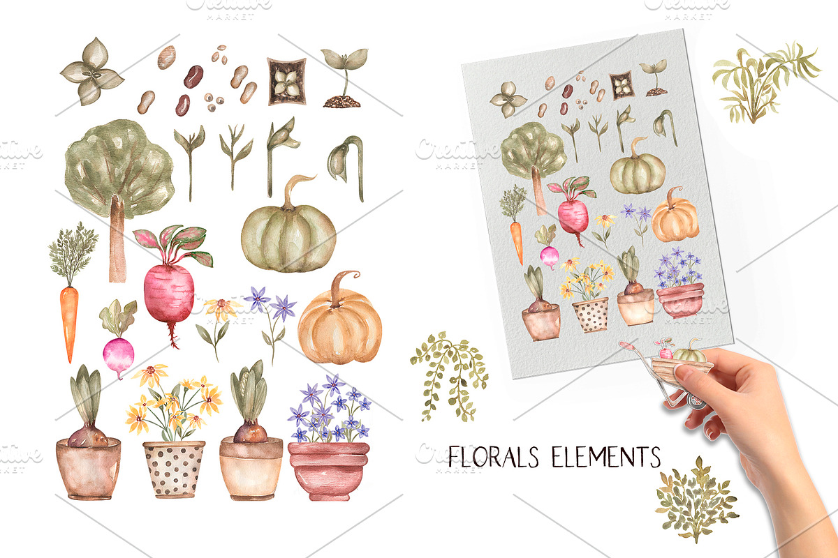 Watercolor Garden Collection, a Work Illustration by MayaNavits (Photo 4 of 13)