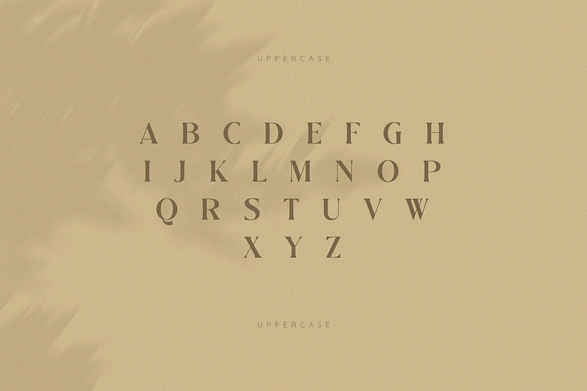 Classma – Modern Classy Serif Font, a Serif Font by BrandSemut (Photo 5 of 9)