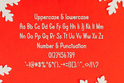 Choice, a Serif Font by FreshTypeINK (Thumbnail 5 of 7)