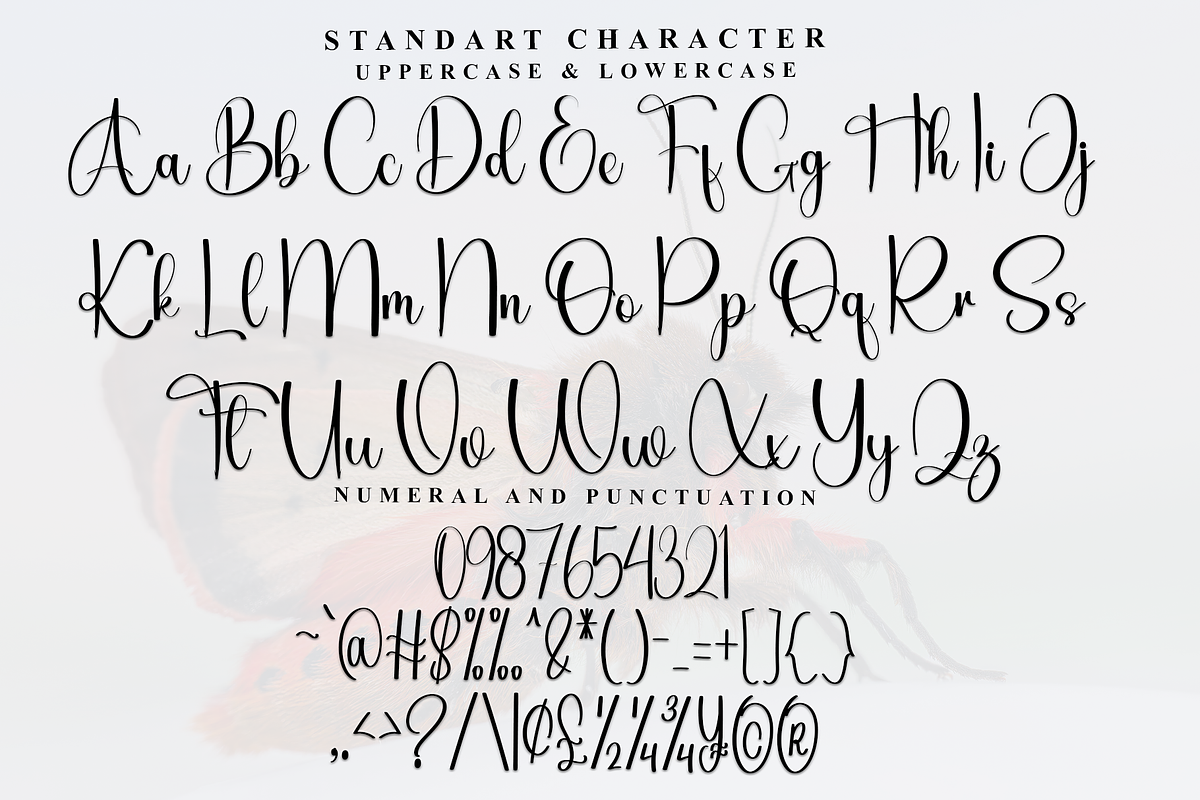Fortuna Butterfly, a Handwritten Font by FreshTypeINK (Photo 6 of 8)