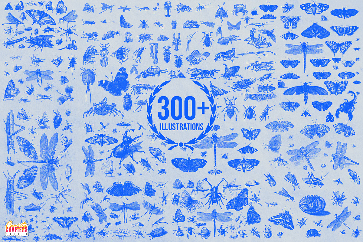 300+ Vintage Insects & Bugs Etchings, a Graphic by Craftsy Crafters (Photo 2 of 8)