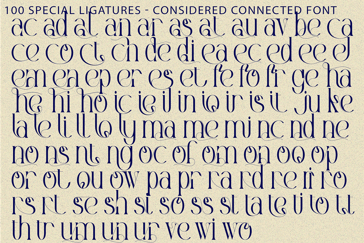 Considered Connected - Elegant Serif, a Serif Font by 177Studio (Photo 8 of 8)