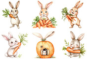 Hand-Painted Bunny with Carrots, a Seasonal Illustration by DreamArtGraphic (Thumbnail 3 of 4)