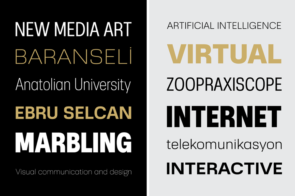 Ebru Sans Font Family, a Sans Serif Font by Ahmet Altun (Photo 2 of 7)