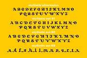 Bikker Black, Funky serifs, a Serif Font by TypeFaith Fonts (Thumbnail 6 of 11)