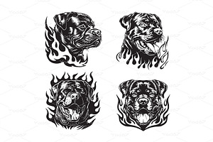 Vector of powerful Rottweiler dog, an Animal Illustration by yod67