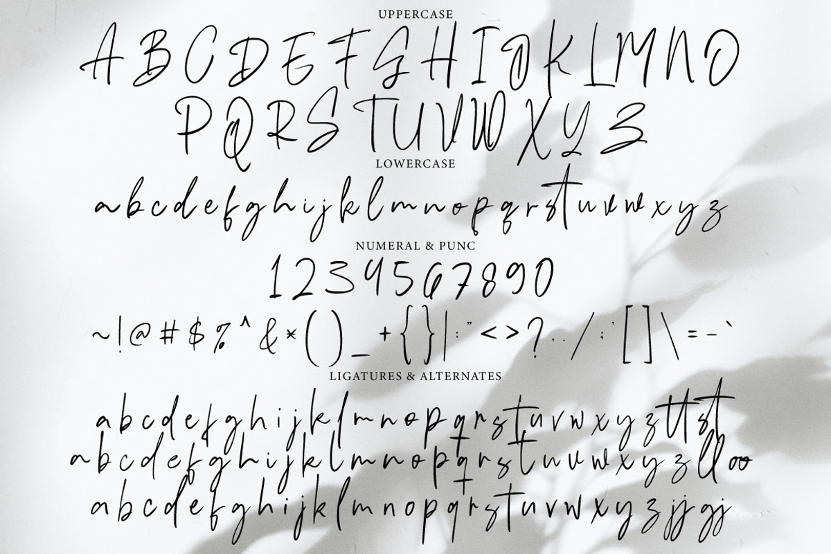 Hastipen - Handwritten Signature, a Handwritten Font by tebaltipislab (Photo 6 of 10)
