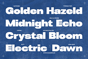 GC DINKO - Bold Sans, a Sans Serif Font by Glyphonic (Thumbnail 4 of 15)