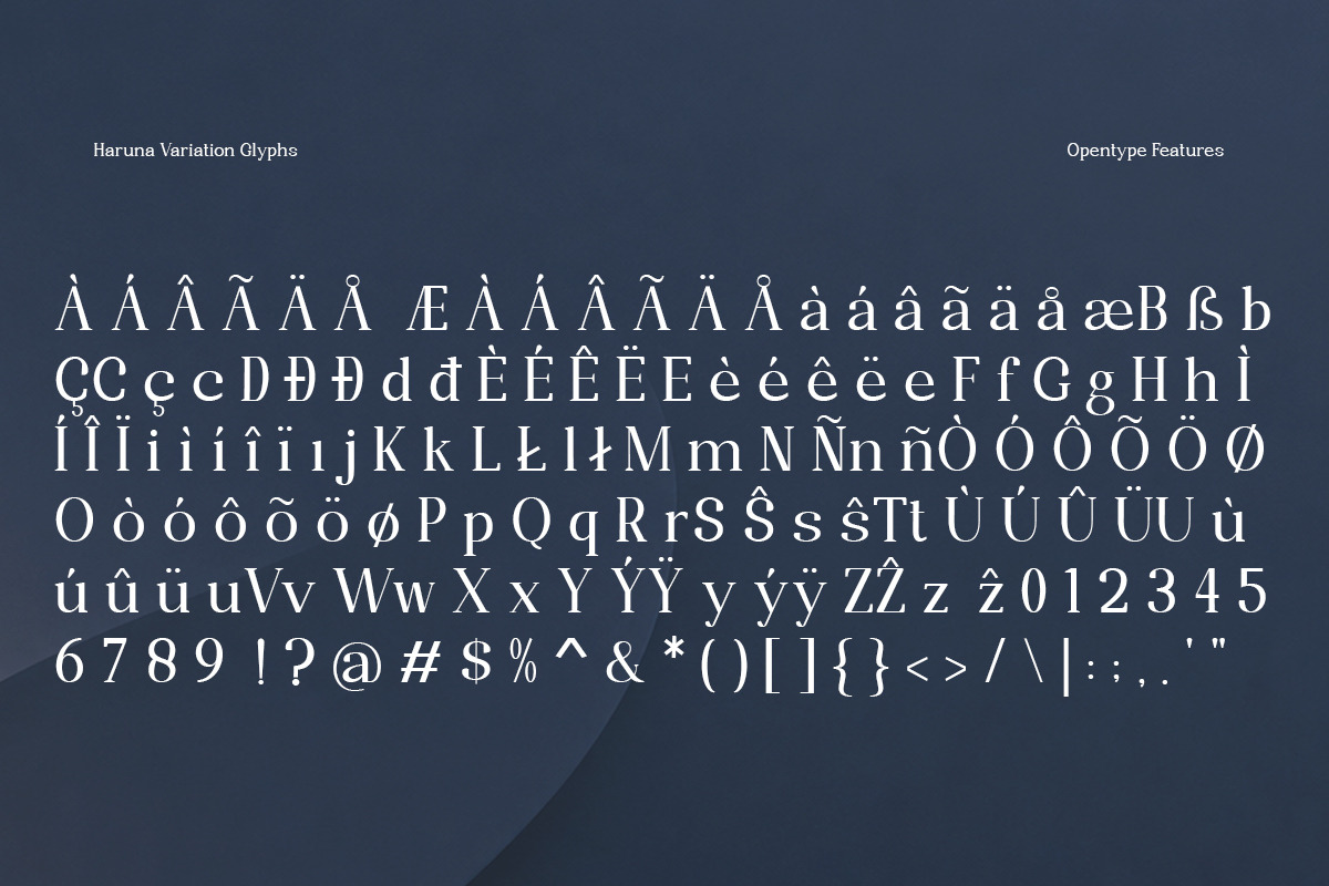 Haruna Variation, a Serif Font by StudioRhd (Photo 8 of 9)