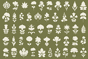 Vintage Botanical: 100 Illustrations, an Object Illustration by Veyla (Thumbnail 5 of 15)