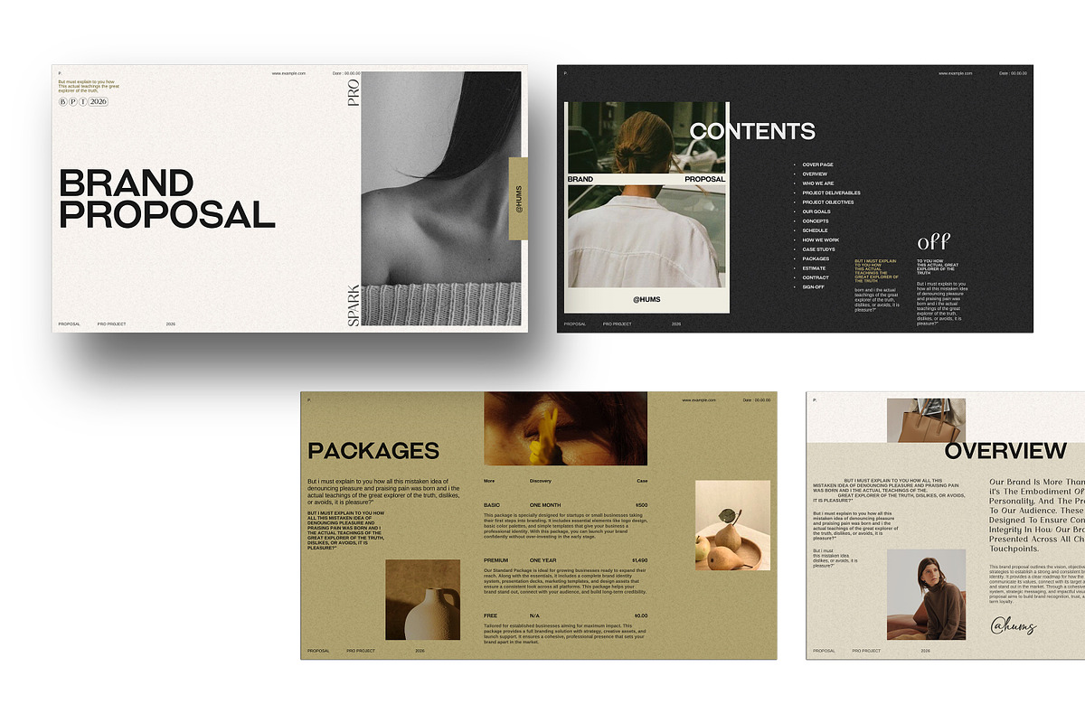 HUMS | Proposal, a Presentation Template by SparkPro (Photo 2 of 13)