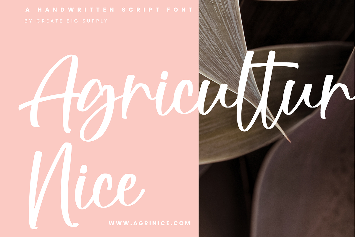 Fellicia Grace, a Handwritten Font by CreateBigSupply (Photo 3 of 9)