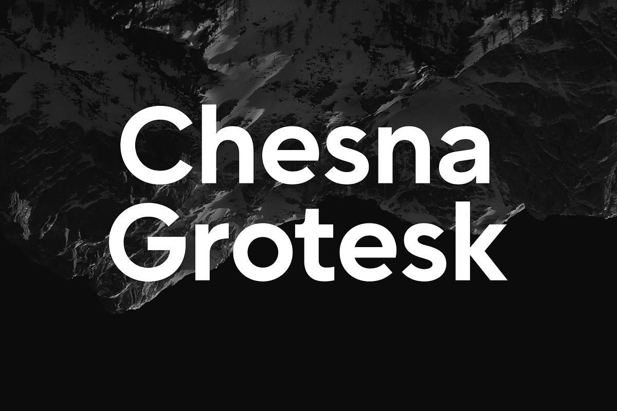 Chesna Grotesk, a Sans Serif Font by Horizon Type Foundry (Photo 1 of 19)