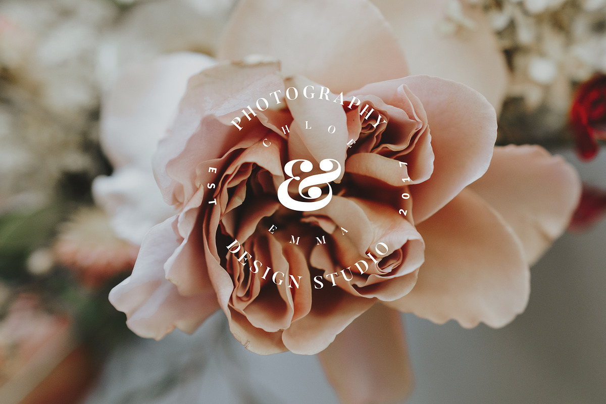 PREMIUM 120 Stamp Logo Bundle, a Branding & Logo Template by IsikChic (Photo 2 of 30)