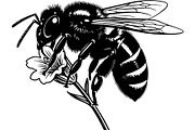 Bee Silhouette Bundle, a Background Graphic by Creativeshirt (Thumbnail 11 of 18)